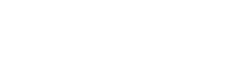 Logo Bizu